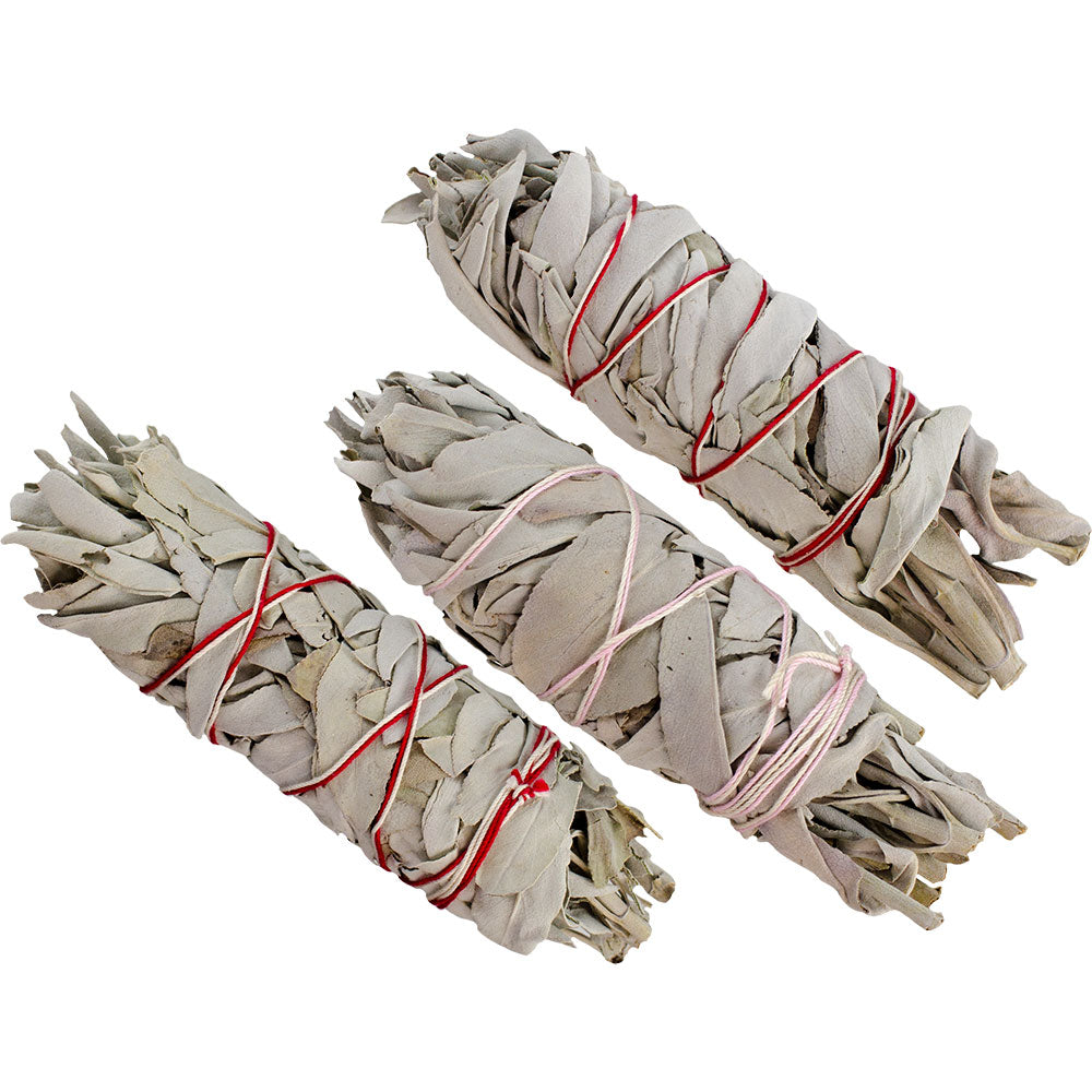 White Sage Bundles 4 pk